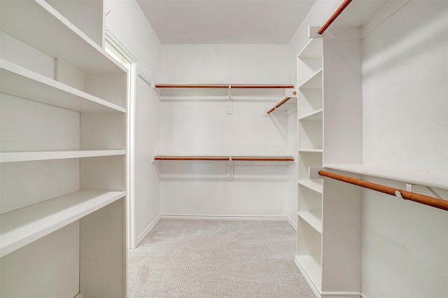 walk in closet featuring carpet