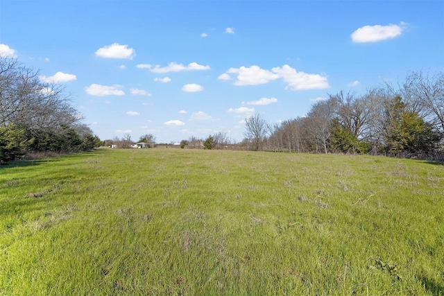 view of yard featuring a rural view