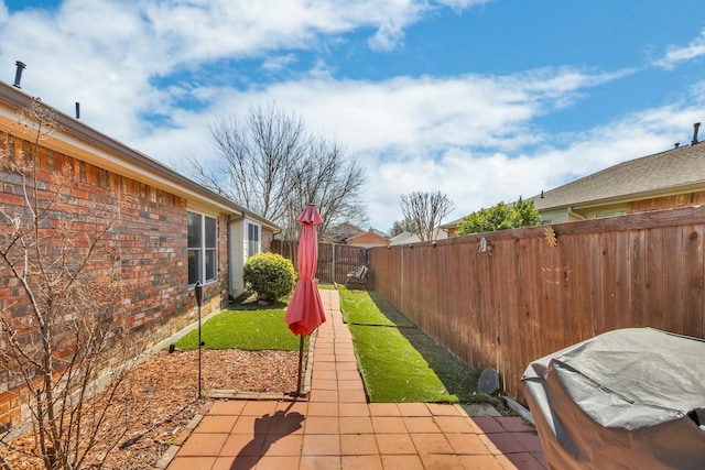 view of yard with a patio and a fenced backyard