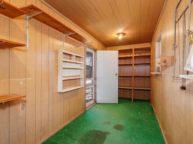 interior space with wood ceiling and wood walls