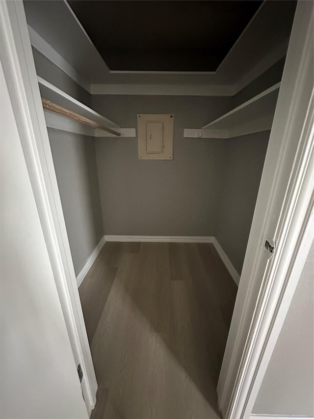 walk in closet with electric panel, a tray ceiling, and wood finished floors