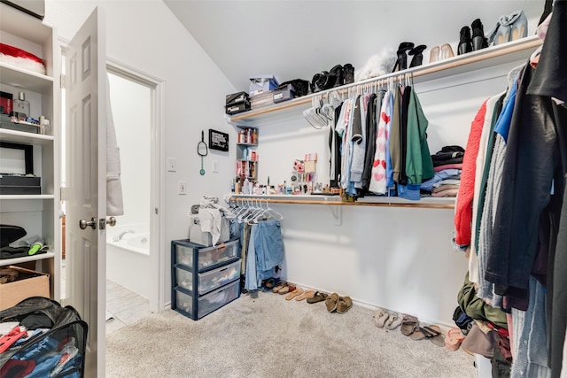 spacious closet with carpet