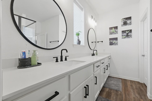 bathroom with double vanity, wood finished floors, baseboards, and a sink