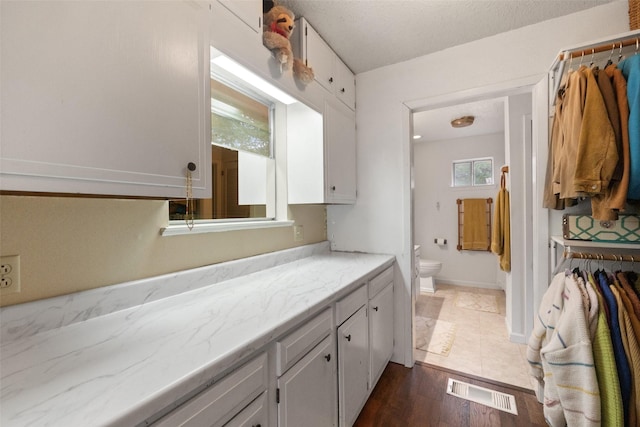 bathroom with vanity, wood finished floors, visible vents, baseboards, and toilet