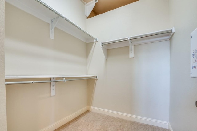 spacious closet with carpet