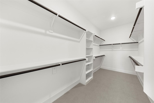 spacious closet featuring light colored carpet