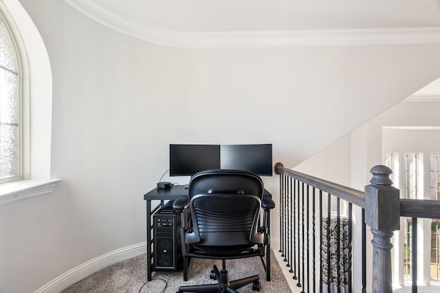 office space featuring a wealth of natural light, crown molding, baseboards, and carpet floors