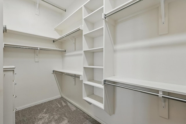 spacious closet featuring dark colored carpet