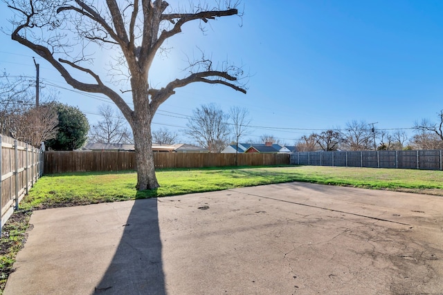 view of yard with a fenced backyard and a patio