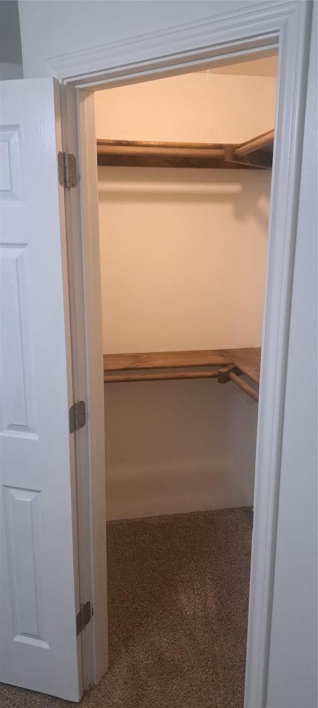 view of closet