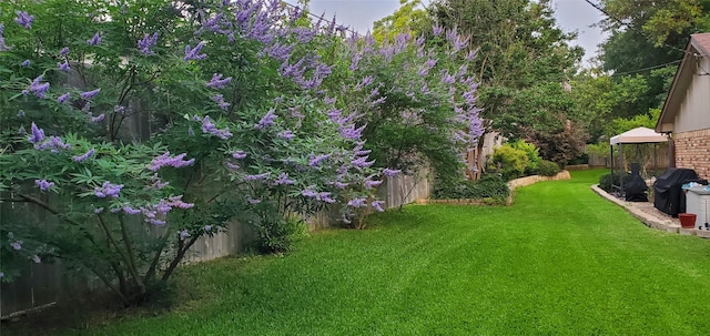 view of yard with fence