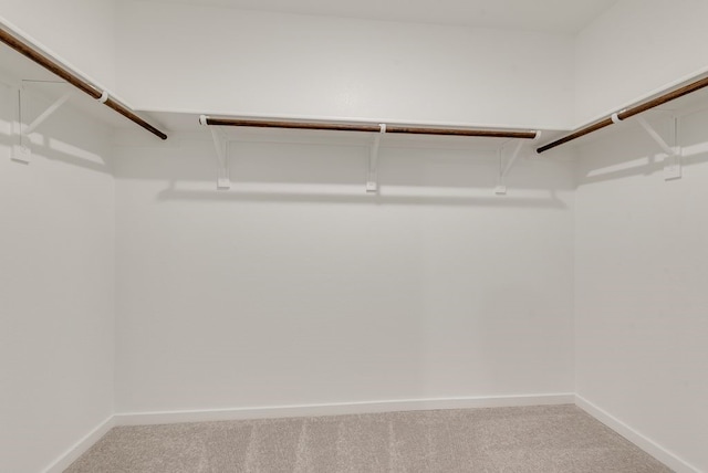 walk in closet with carpet flooring