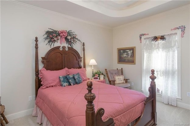 carpeted bedroom featuring a tray ceiling, baseboards, and ornamental molding