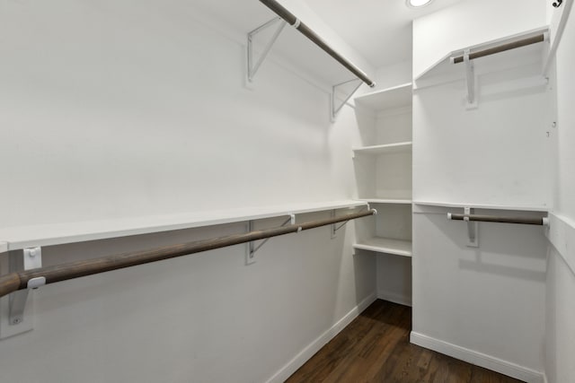 spacious closet with dark wood-type flooring