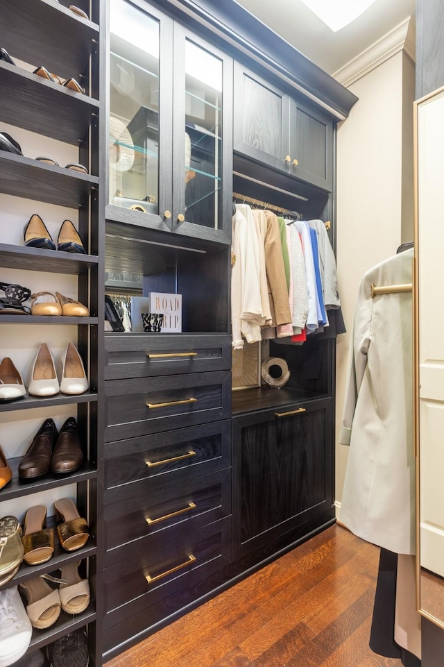 spacious closet featuring dark wood-style floors