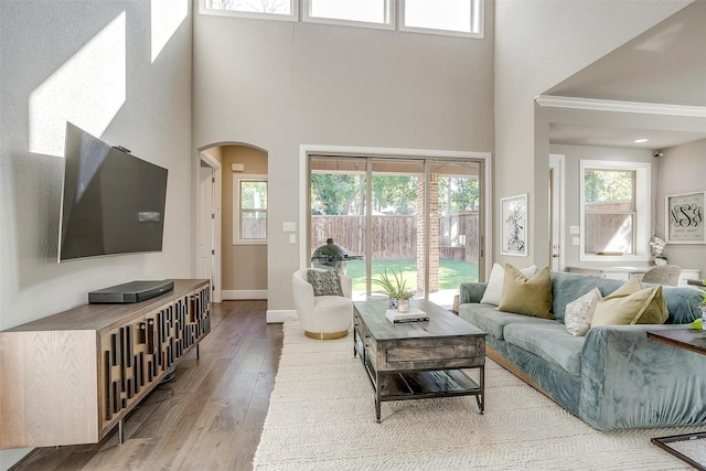 living room featuring a healthy amount of sunlight, arched walkways, wood-type flooring, and baseboards