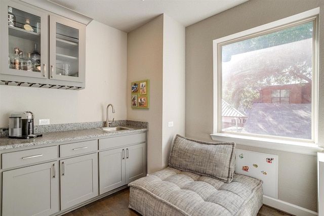 interior space with a sink, wet bar, dark wood finished floors, and radiator heating unit