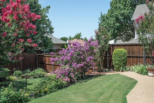 view of yard featuring a fenced backyard