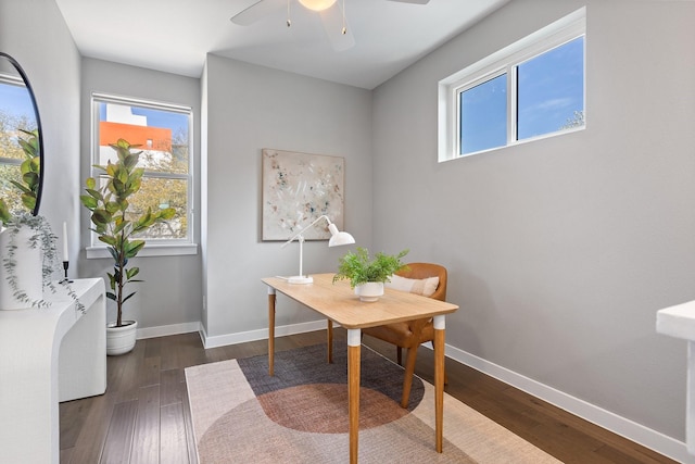 office space with a wealth of natural light, ceiling fan, and dark wood finished floors