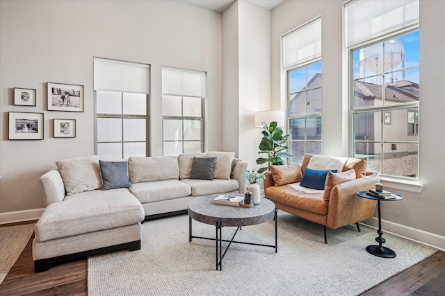 living room with a healthy amount of sunlight, baseboards, and wood finished floors