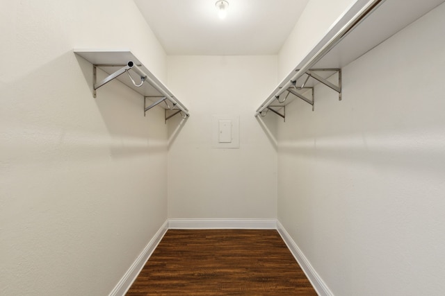 spacious closet with wood finished floors