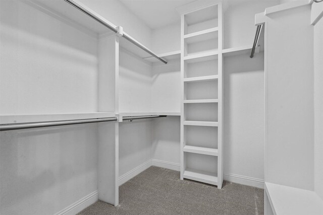 spacious closet with carpet floors