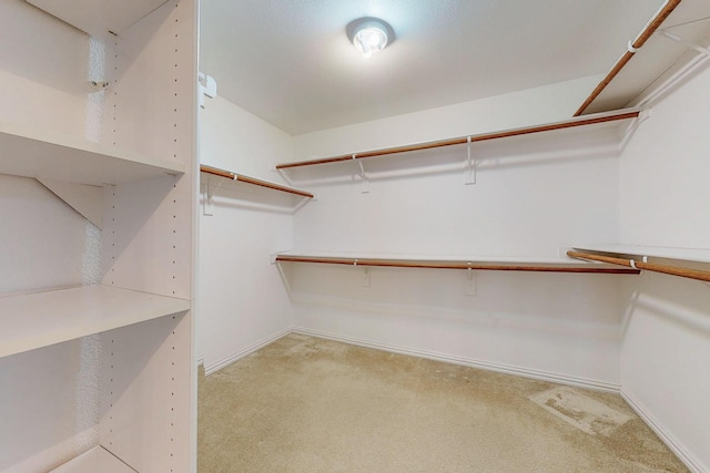 walk in closet with light colored carpet