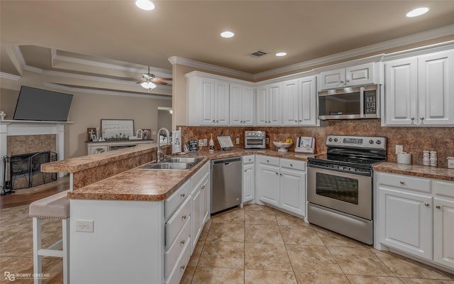 kitchen with visible vents, a sink, stainless steel appliances, crown molding, and a raised ceiling