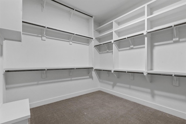 walk in closet featuring carpet