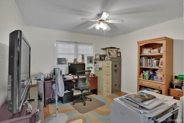 office space with a ceiling fan and ornamental molding