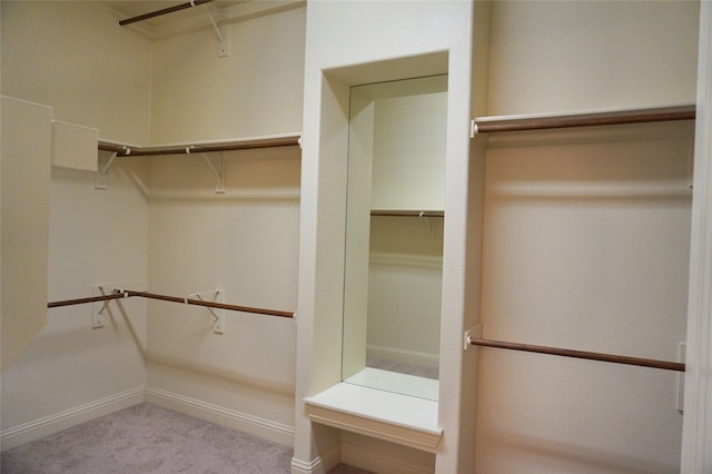 spacious closet featuring carpet flooring