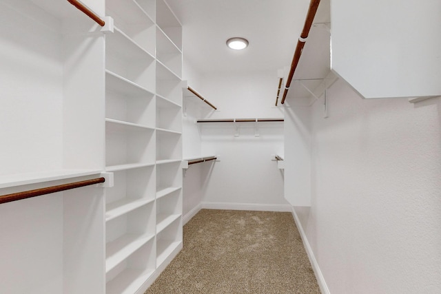 walk in closet with carpet flooring