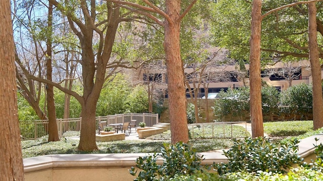 view of yard featuring a patio and fence