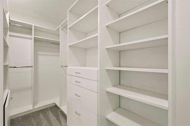 view of walk in closet