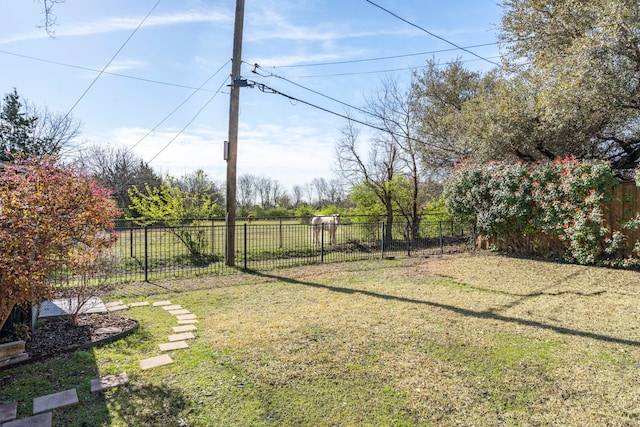 view of yard featuring a fenced backyard