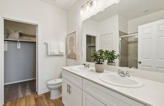 bathroom with a shower stall, a spacious closet, and a sink