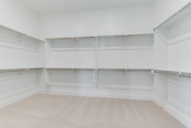 walk in closet with carpet flooring