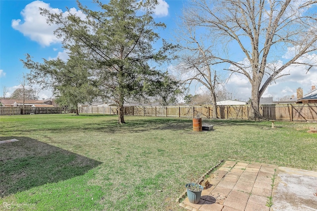 view of yard with a patio area and a fenced backyard