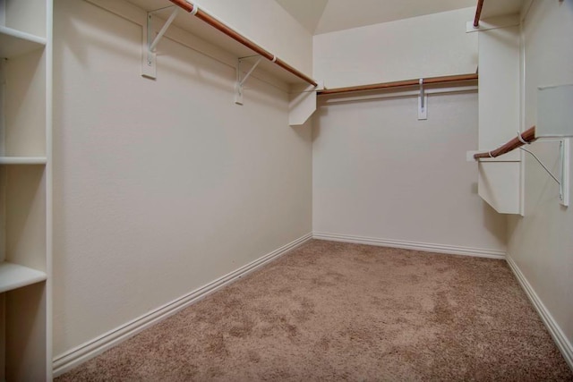 spacious closet featuring carpet floors