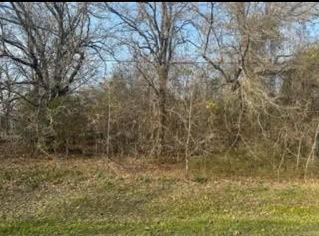 0 Acres Loop, Gun Barrel City TX, 75156 land for sale