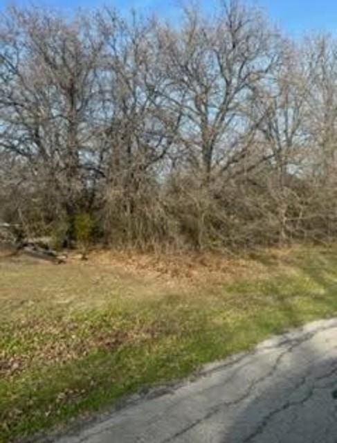 Listing photo 2 for 0 Acres Loop, Gun Barrel City TX 75156