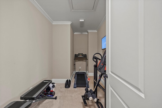 workout room featuring carpet flooring, baseboards, and crown molding