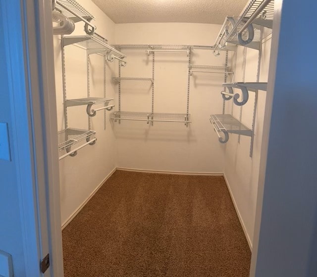 walk in closet featuring dark carpet