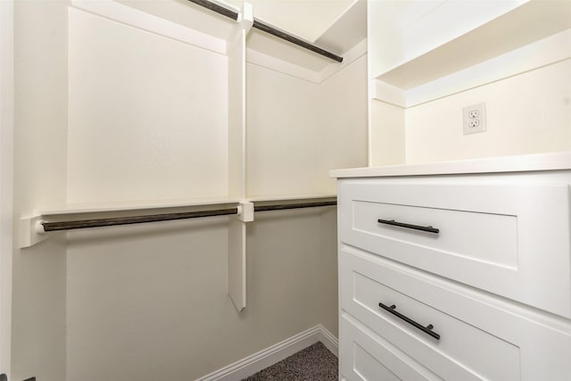 spacious closet featuring carpet