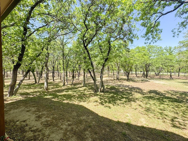 505 Spring Valley Rd, Paradise, TX 76073 - view of yard