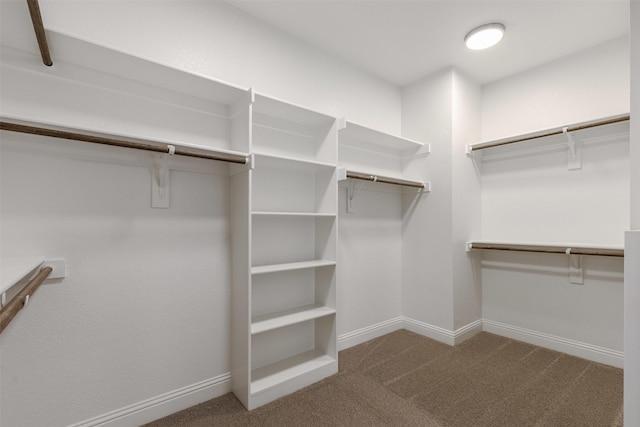 walk in closet with carpet floors