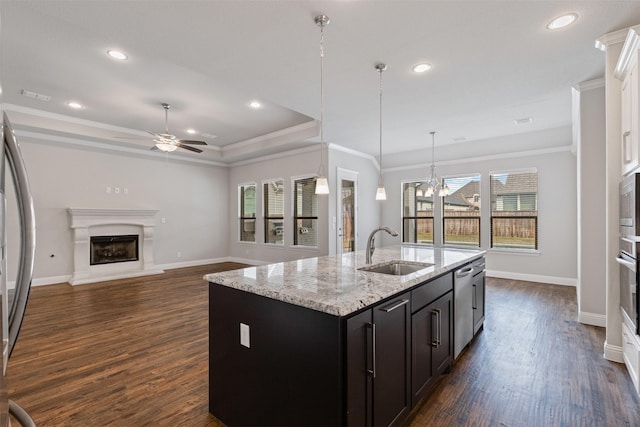 kitchen with a fireplace with raised hearth, ceiling fan with notable chandelier, stainless steel appliances, a raised ceiling, and a sink