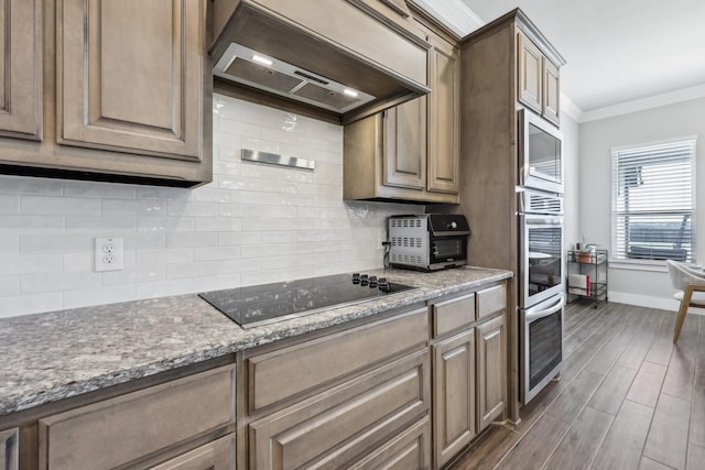 kitchen featuring tasteful backsplash, crown molding, wood tiled floor, appliances with stainless steel finishes, and custom exhaust hood