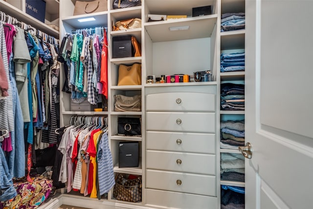 view of spacious closet