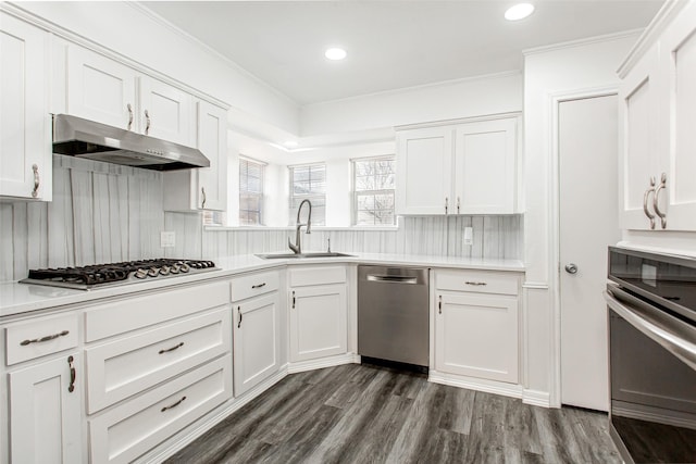 kitchen with under cabinet range hood, appliances with stainless steel finishes, white cabinets, and a sink